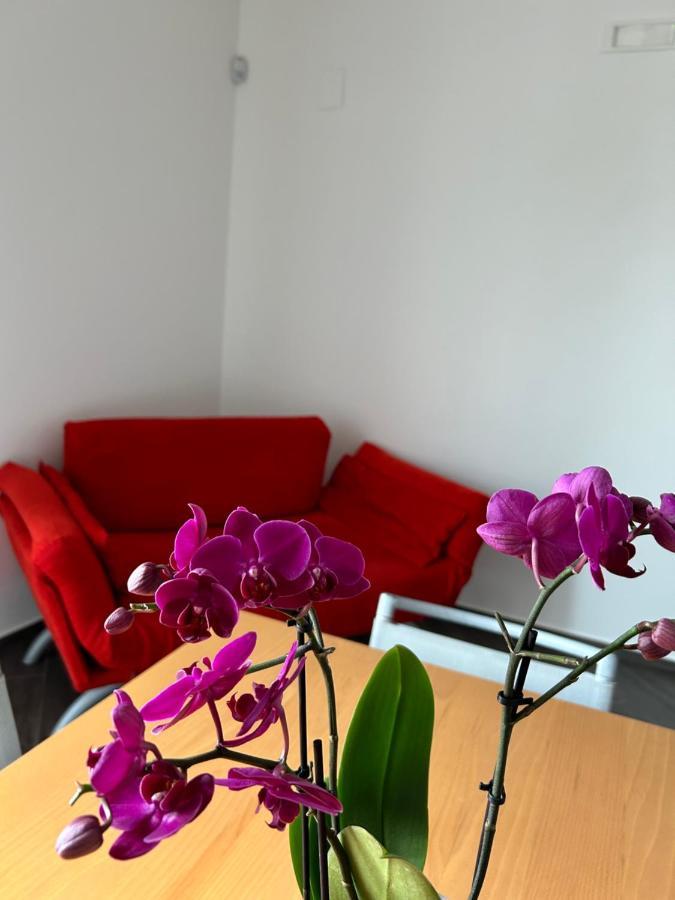 A Due Passi Da Apartment Corato Exterior photo